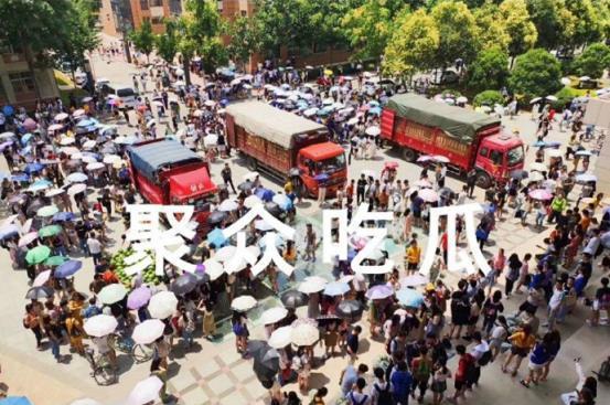 长清大学吃瓜免费播放,吃瓜免费，校园生活新潮流